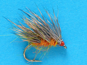 Oranga Hedgehog
